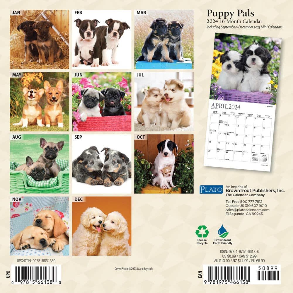 Puppies For the Love 2024 Mini Wall Calendar First Alternate Image width=&quot;1000&quot; height=&quot;1000&quot;
