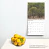 image Wisconsin Wild and Scenic 2025 Wall Calendar On a wall