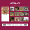 image Meerkats 2026 Wall Calendar First Alternate Image