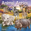 image Animal Antics 2026 Wall Calendar Main Image
