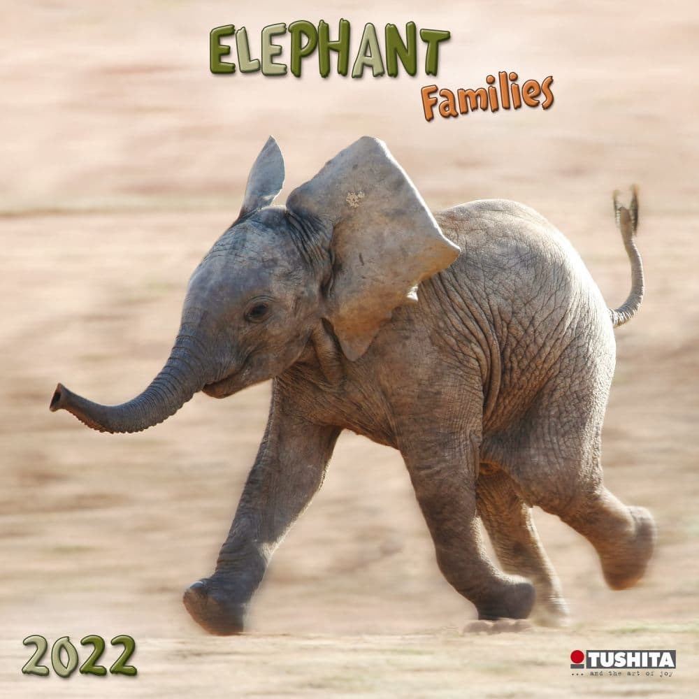 Elephants 2022 Wall Calendar