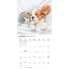 image Kittens and Puppies 2026 Mini Wall Calendar Fourth Alternate Image