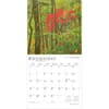 image Kentucky 2026 Wild and Scenic 2026 Wall Calendar