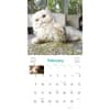 image Cats on Catnip 2025 Wall Calendar First Alternate Image width="1000" height="1000"