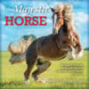 image The Majestic Horse 2025 Wall Calendar Main Product Image width=&quot;1000&quot; height=&quot;1000&quot;