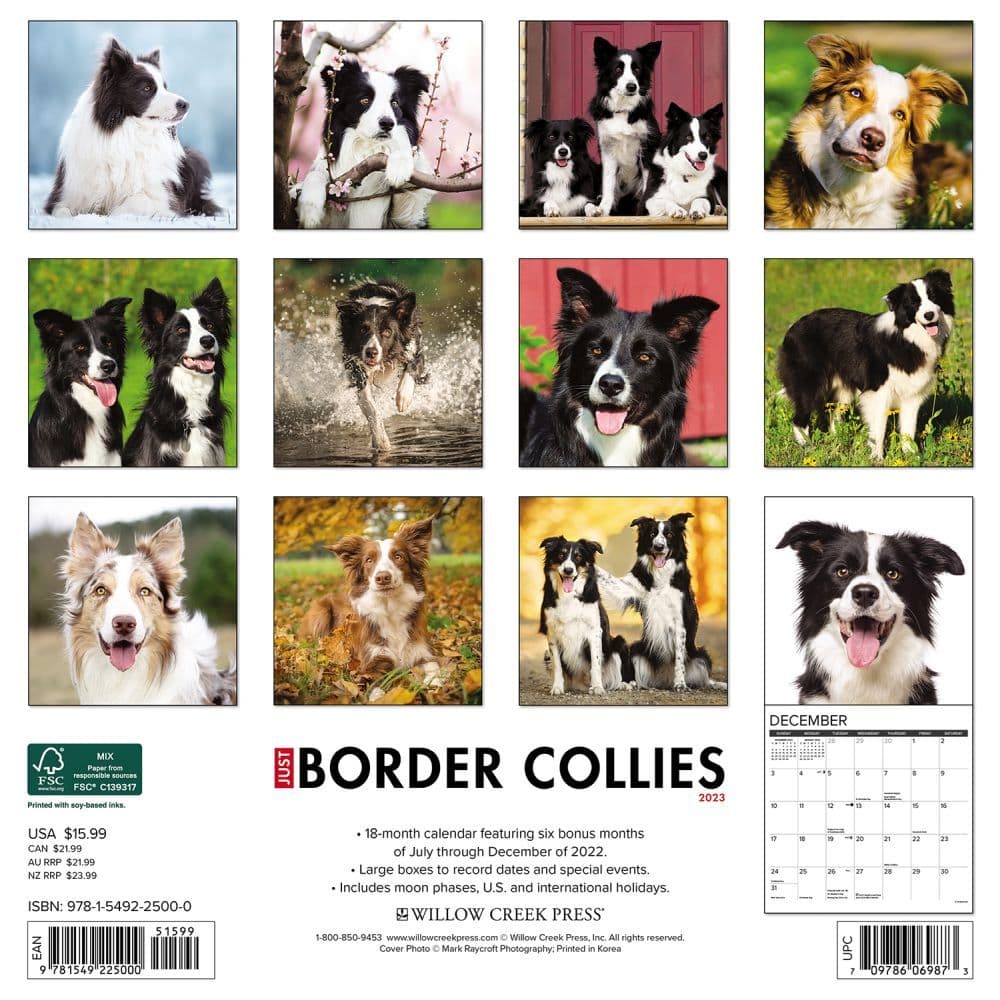 Border Collie 2022 Calendar Wall 安全 2022