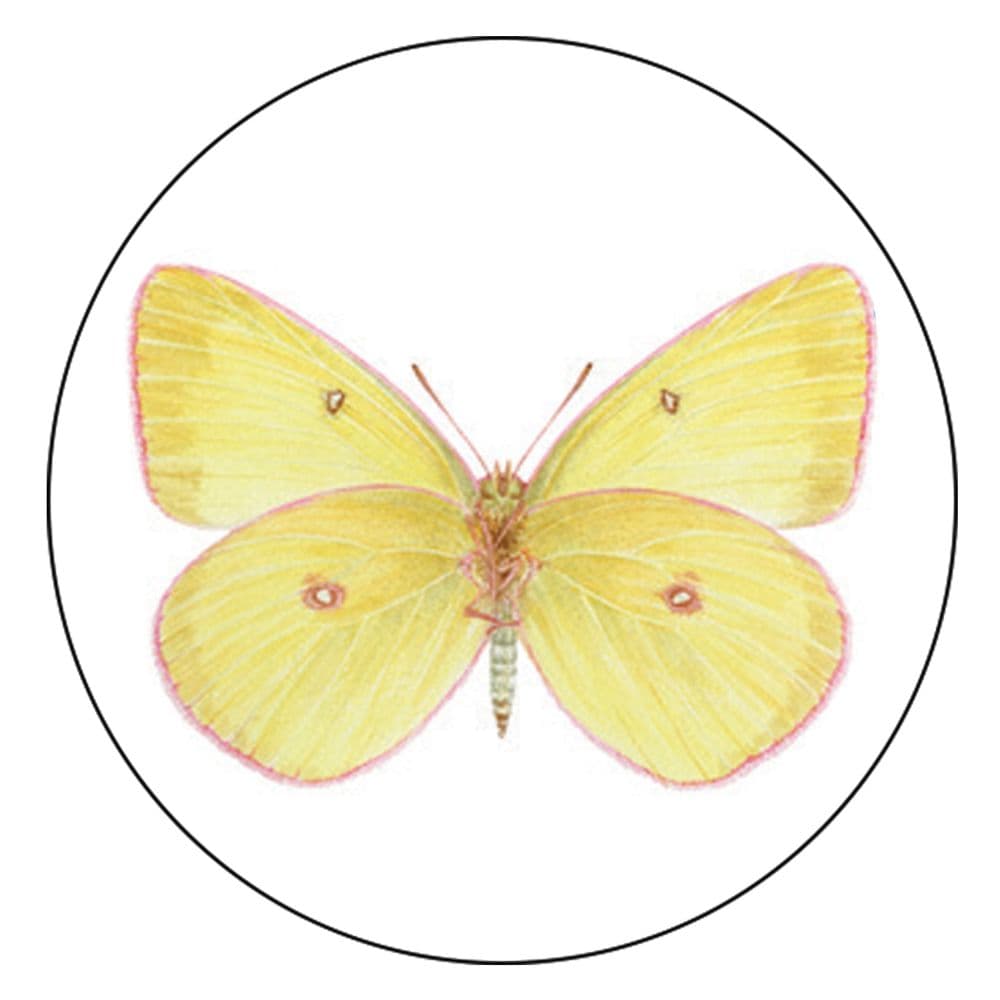Brillant Butterflies Coffee Mug Third Alternate Image