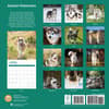 image Alaskan Malamutes 2025 Wall Calendar First Alternate Image width="1000" height="1000"