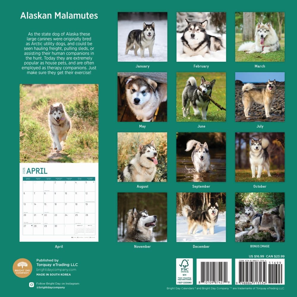 Alaskan Malamutes 2025 Wall Calendar First Alternate Image width="1000" height="1000"