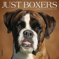 image Just Boxers 2026 Wall Calendar Main Image