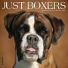 image Just Boxers 2026 Wall Calendar Main Image