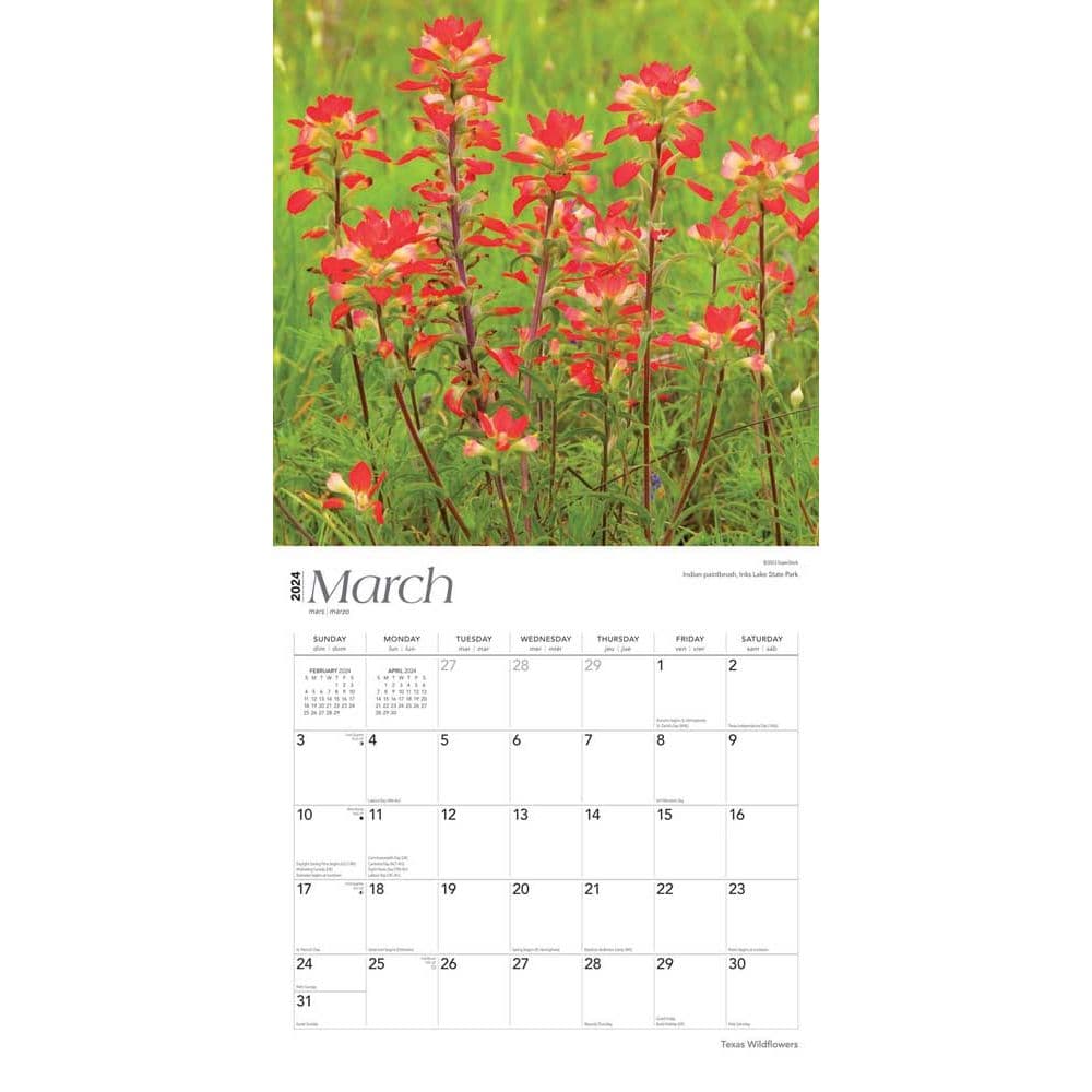 Texas Wildflowers 2024 Wall Calendar Calendars Com   7ecf196c Dbdc 42f1 8740 5ace1a030b7f