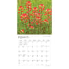 image Texas Wildflowers 2024 Wall Calendar Second Alternate  Image width=&quot;1000&quot; height=&quot;1000&quot;