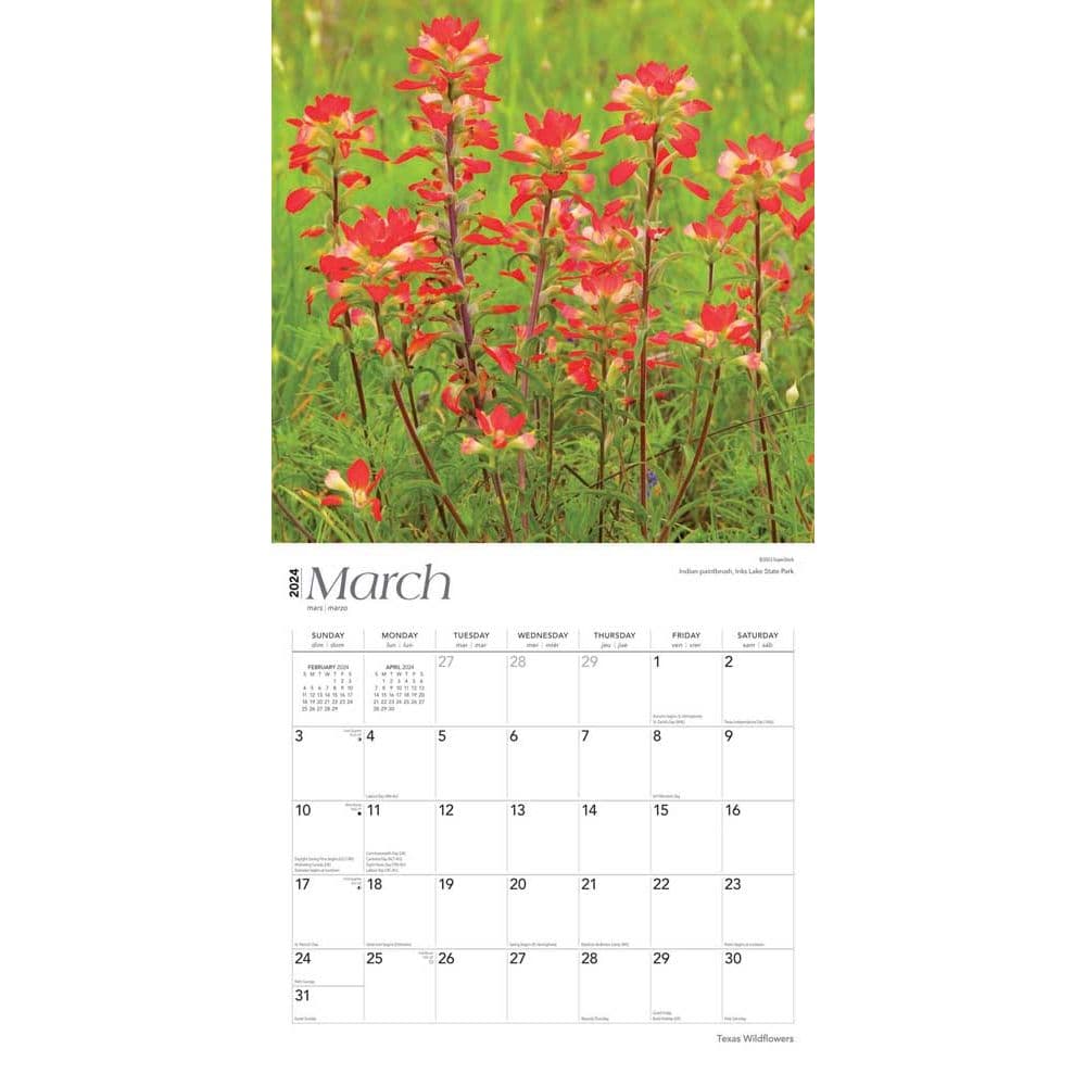 Texas Wildflowers 2024 Wall Calendar Second Alternate  Image width=&quot;1000&quot; height=&quot;1000&quot;