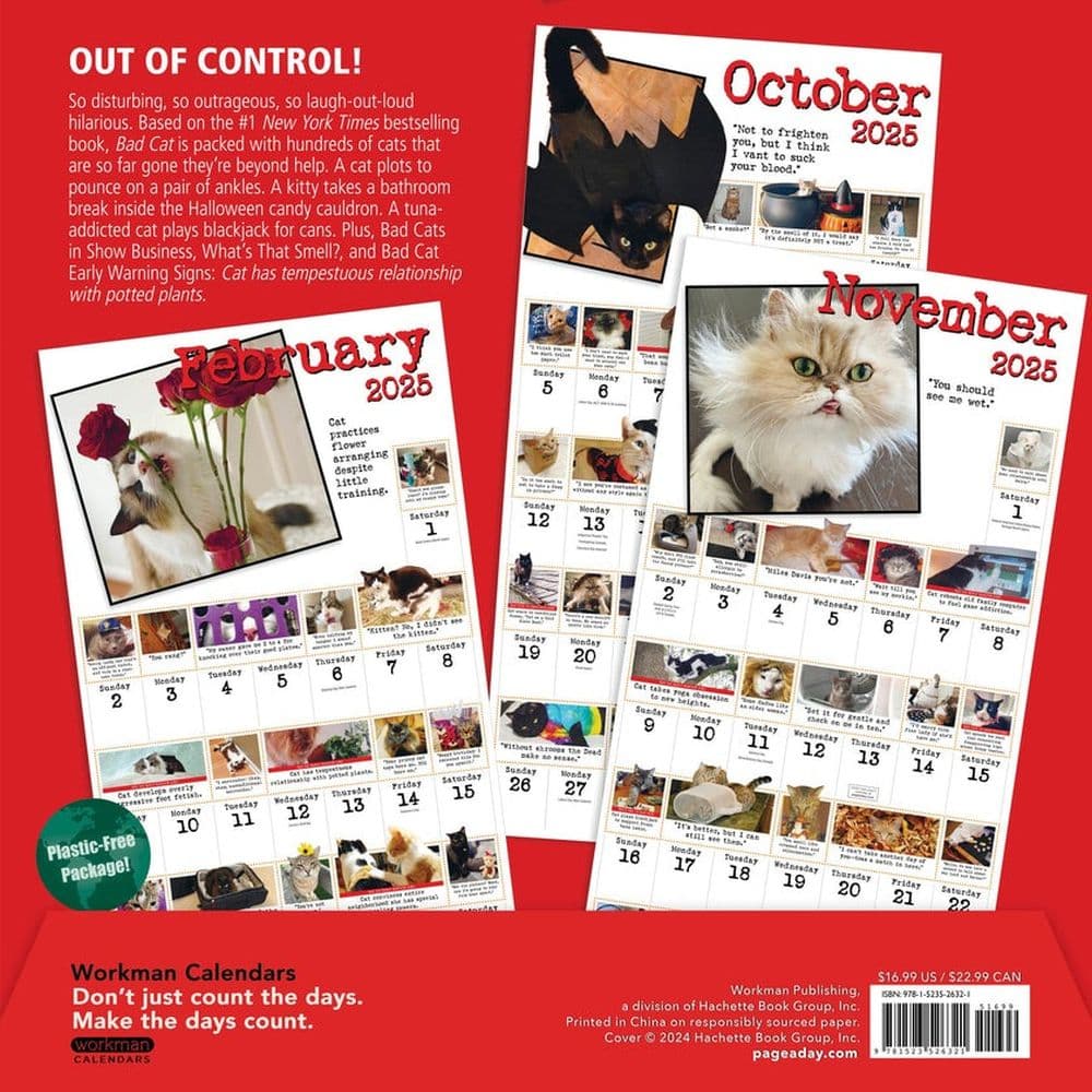 Bad Cat 365 Days 2025 Wall Calendar First Alternate Image width=&quot;1000&quot; height=&quot;1000&quot;