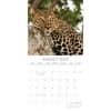 image Safari 2025 Wall Calendar Third Alternate Image width=&quot;1000&quot; height=&quot;1000&quot;