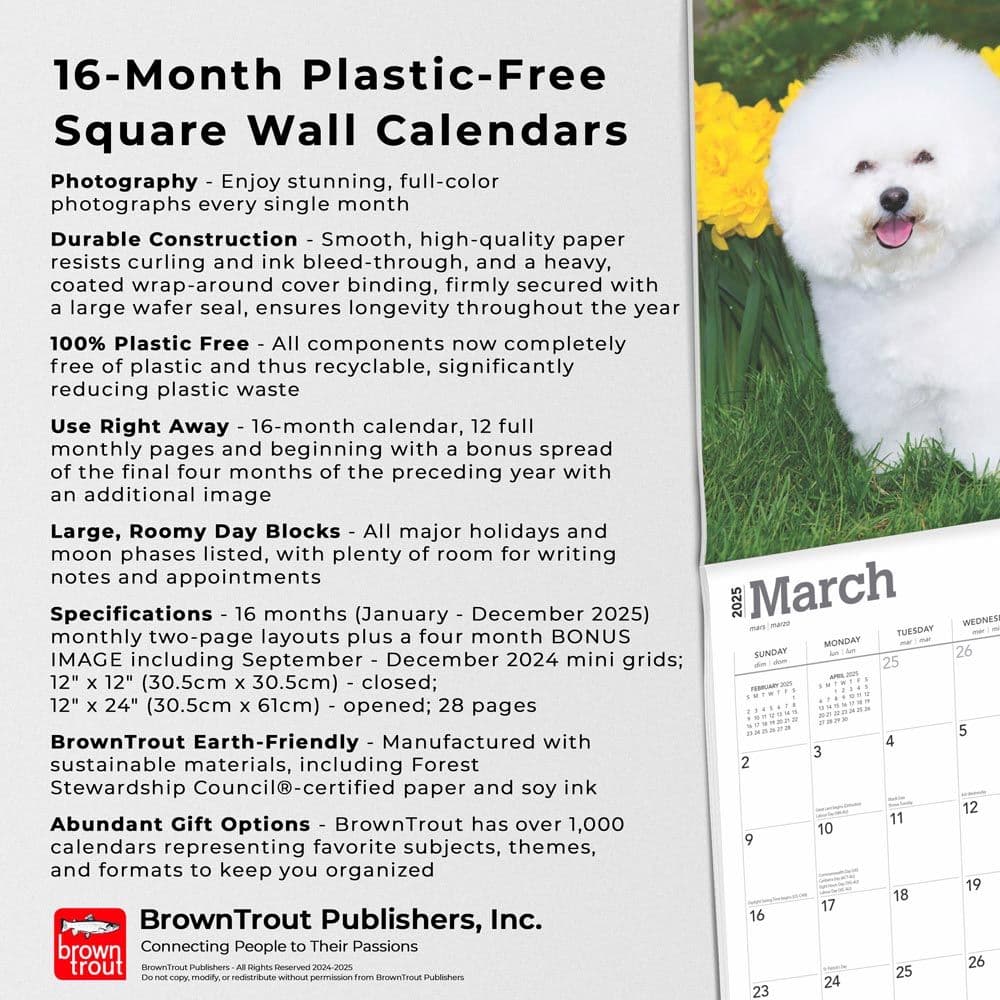 Bichon Frise 2025 Wall Calendar