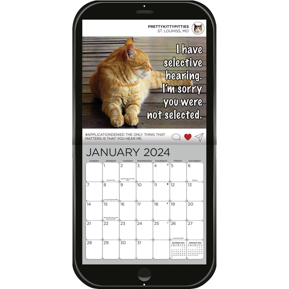 Cat Chat 2024 Wall Calendar