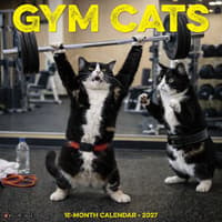 image Gym Cats 2027 Wall Calendar Main Product Image