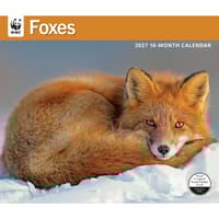 image WWF Foxes 2027 Wall Calendar Main Image