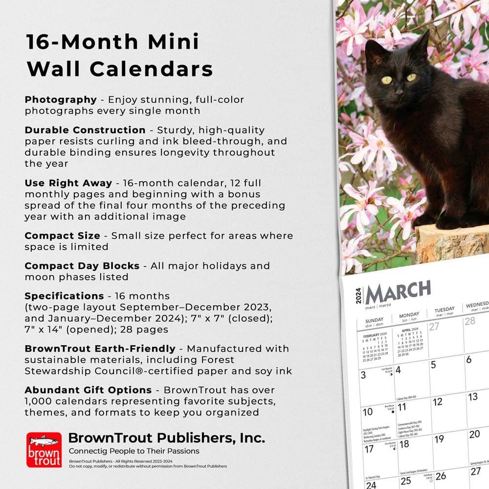 Black Cats 2024 Mini Wall Calendar Fourth Alternate Image width=&quot;1000&quot; height=&quot;1000&quot;