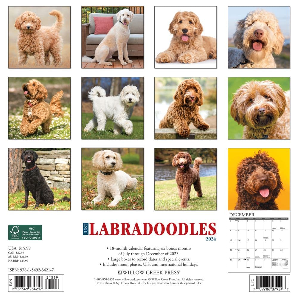 Just Labradoodles 2024 Wall Calendar