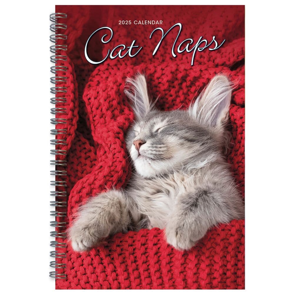 Cat Naps Classic 2025 Planner Main Product Image width=&quot;1000&quot; height=&quot;1000&quot;