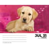 image Labs 2026 Desk Calendar Fourth Alternate Image