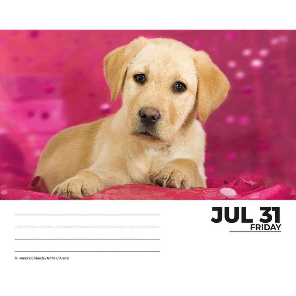 Labs 2026 Desk Calendar Fourth Alternate Image