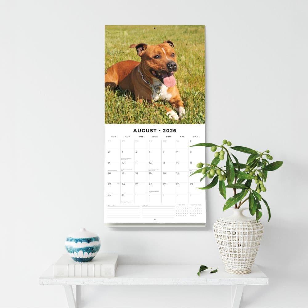 Staffordshire Bull Terriers 2026 Wall Calendar Third Alternate Image
