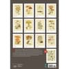 image Mushroom Poster 2025 Wall Calendar