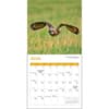 image Owls 2025 Mini Wall Calendar Second Alternate Image width=&quot;1000&quot; height=&quot;1000&quot;