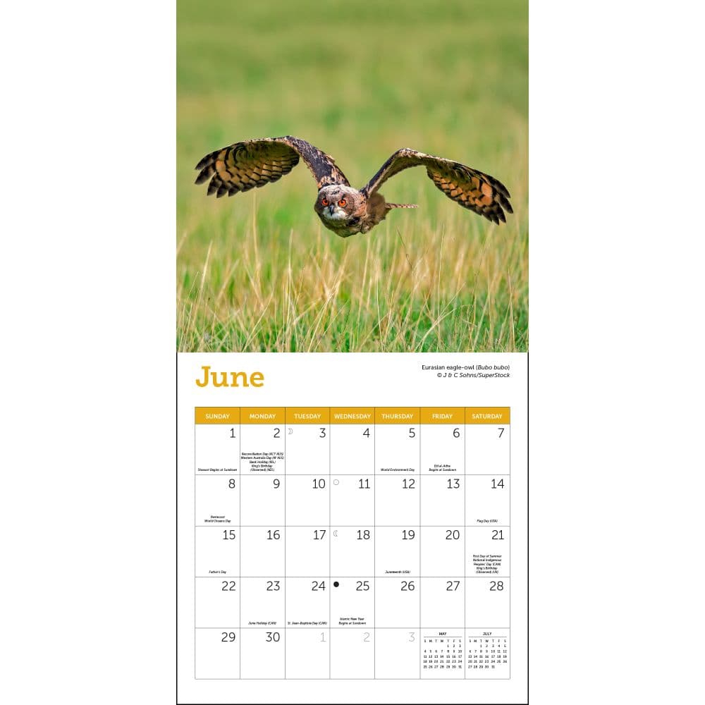 Owls 2025 Mini Wall Calendar Second Alternate Image width=&quot;1000&quot; height=&quot;1000&quot;