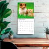 image Kittens And Puppies Plato 2027 Wall Calendar Fourth Alternate Image