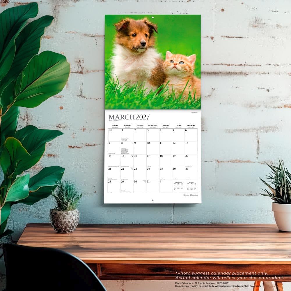 Kittens And Puppies Plato 2027 Wall Calendar Fourth Alternate Image