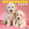 image Just Goldendoodle Puppies 2024 Wall Calendar Main Image