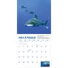 image Sharks Mini 2026 Wall Calendar Fourth Alternate Image