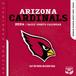 NFL Football 2024 Calendars