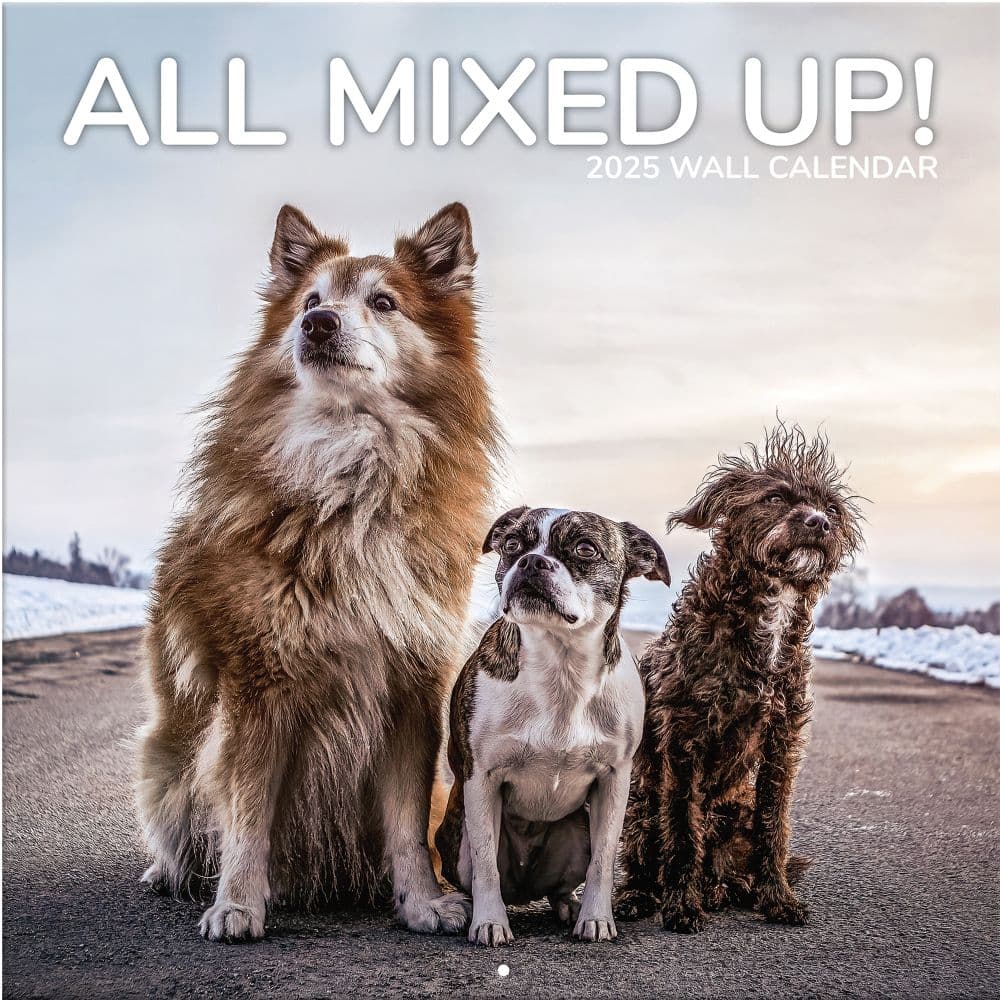 All Mixed Up 2025 Wall Calendar Main Image