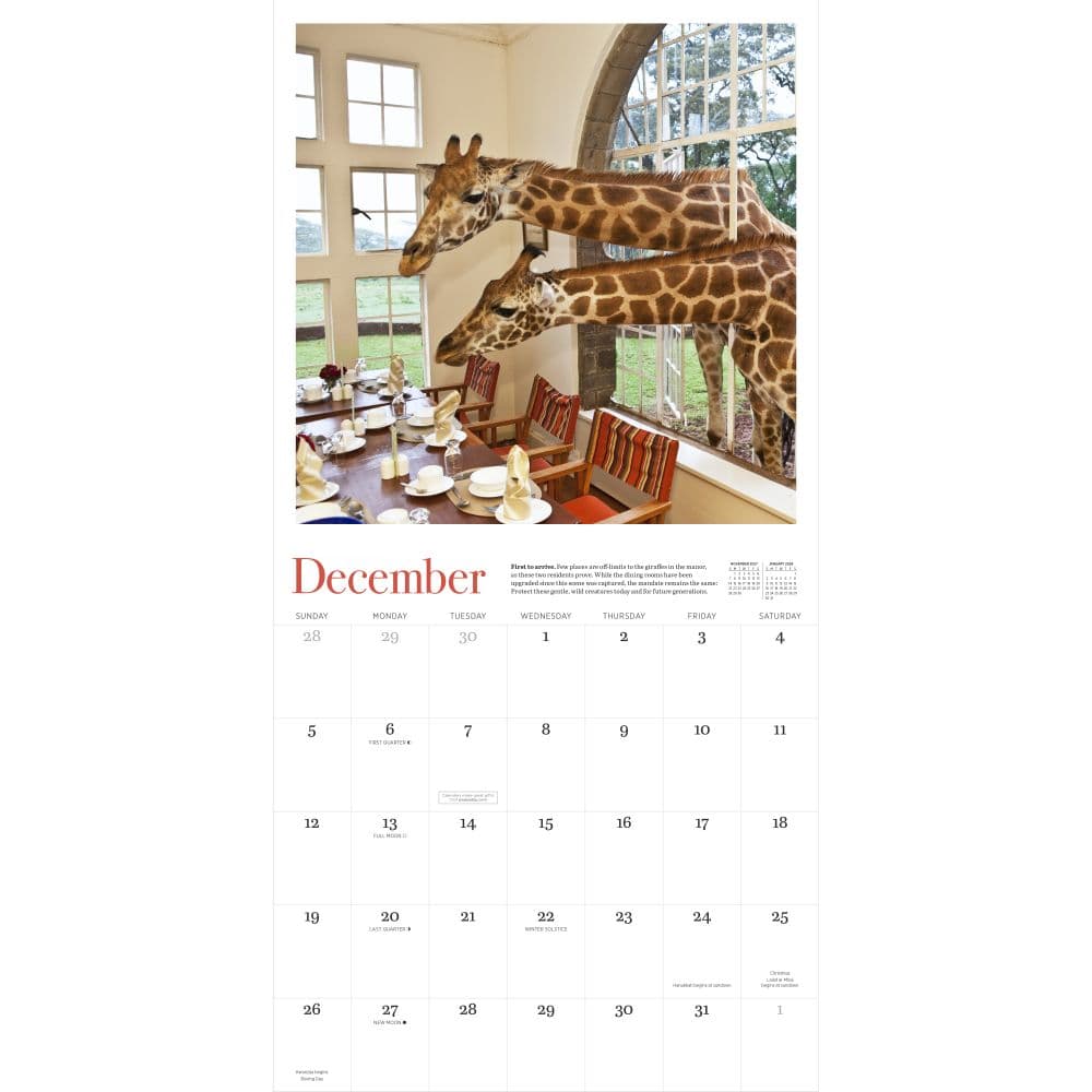 Giraffe Manor 2027 Wall Calendar Fourth Alternate Image