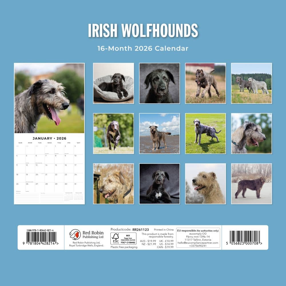 Irish Wolf Hounds 2026 Wall Calendar First Alternate Image