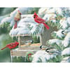 image Cardinal Christmas by Susan Bourdet Boxed Christmas Cards Alt1