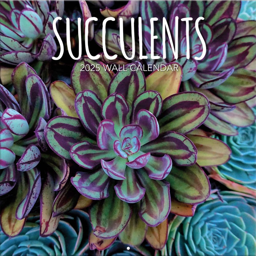 Succulents Photographic 2025 Wall Calendar - Calendars.com