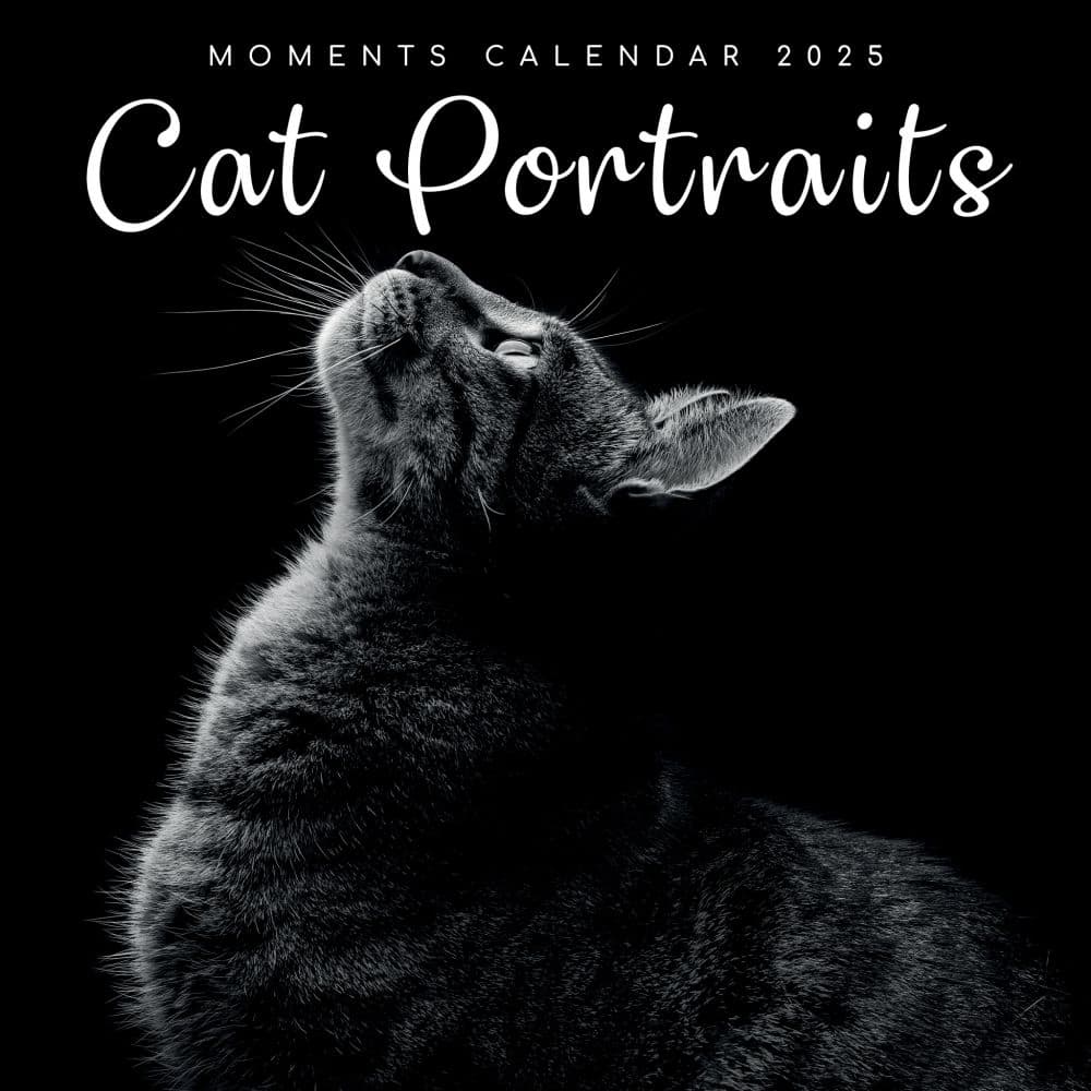 Cat Portraits 2025 Wall Calendar Main Product Image width=&quot;1000&quot; height=&quot;1000&quot;