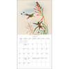 image Goulds Hummingbirds 2024 Mini Wall Calendar Third Alternate Image width=&quot;1000&quot; height=&quot;1000&quot;