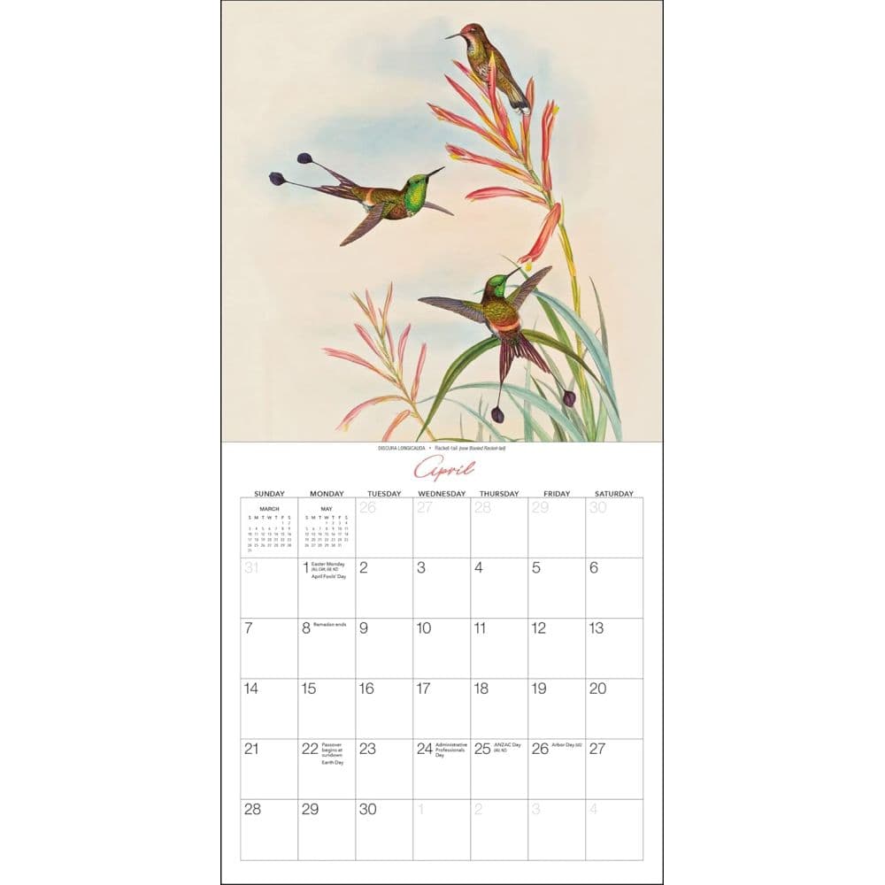 Goulds Hummingbirds 2024 Mini Wall Calendar Third Alternate Image width=&quot;1000&quot; height=&quot;1000&quot;