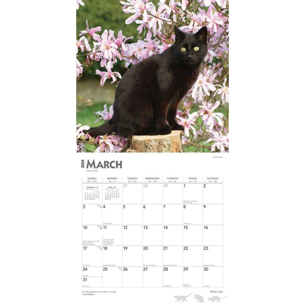 Black Cats 2024 Wall Calendar Alternate Image 2