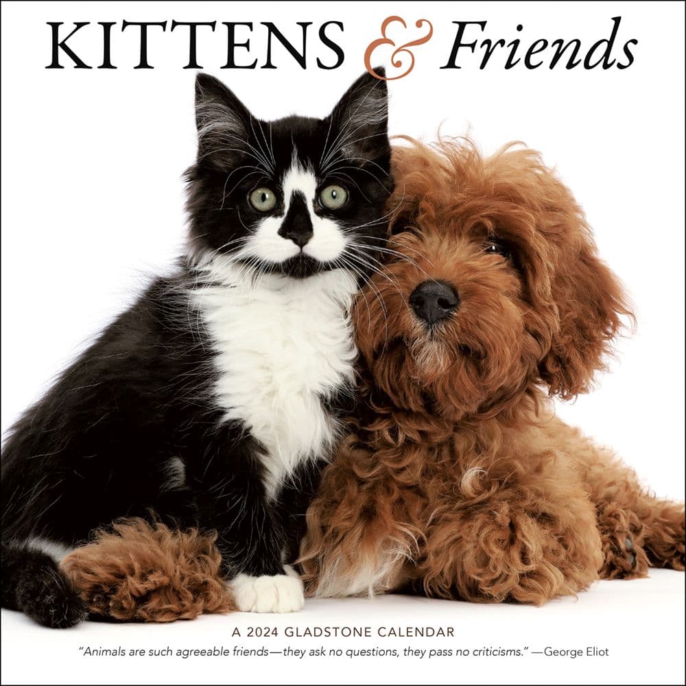 Kittens &amp; Friends 2024 Wall Calendar Main Product Image width=&quot;1000&quot; height=&quot;1000&quot;