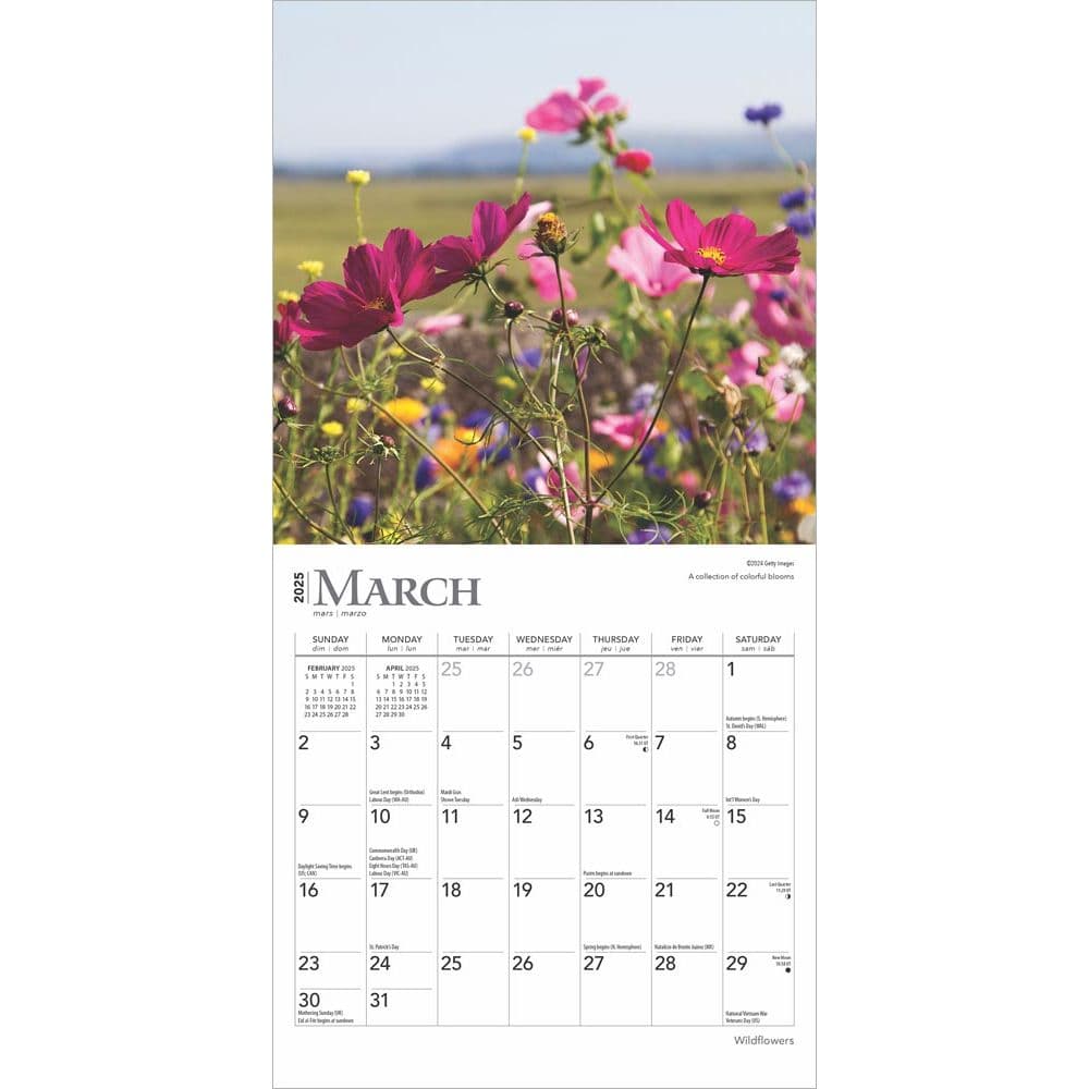 2025 Mini Calendar Wildflowers