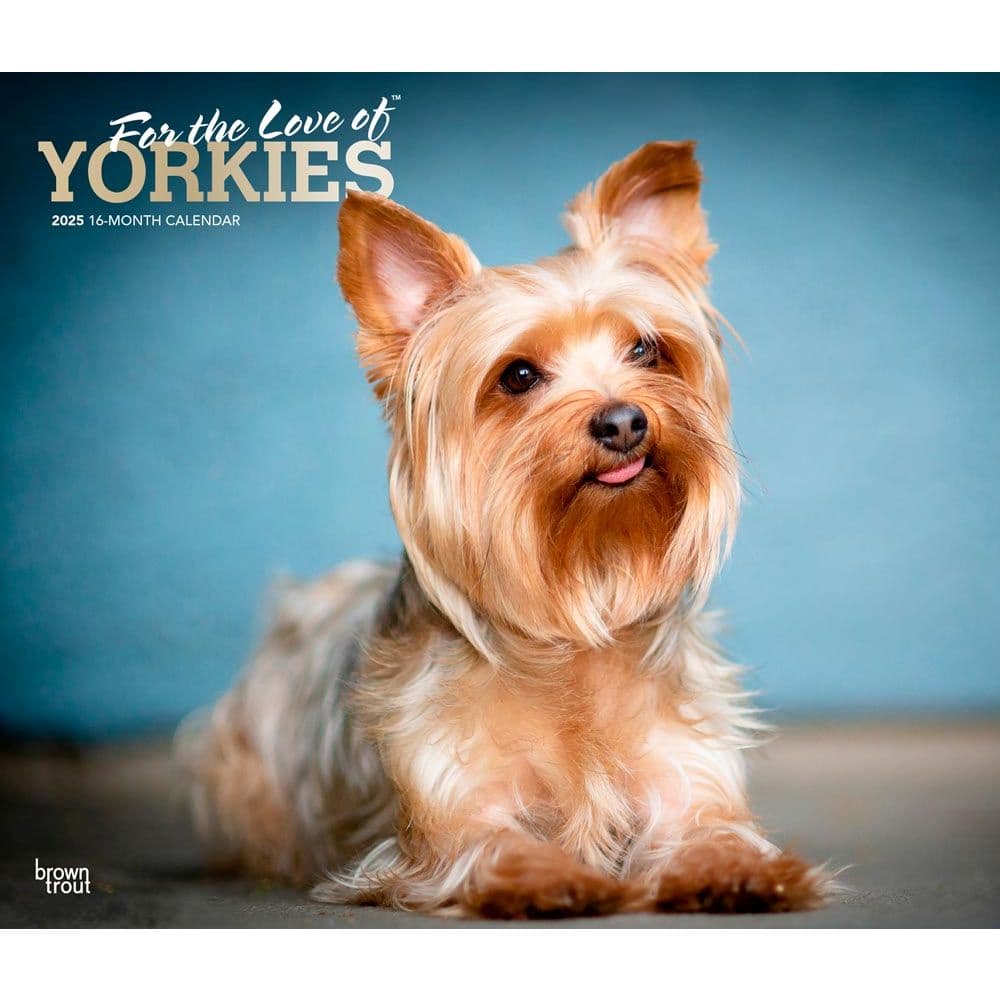 Yorkshire Terriers Deluxe 2025 Wall Calendar